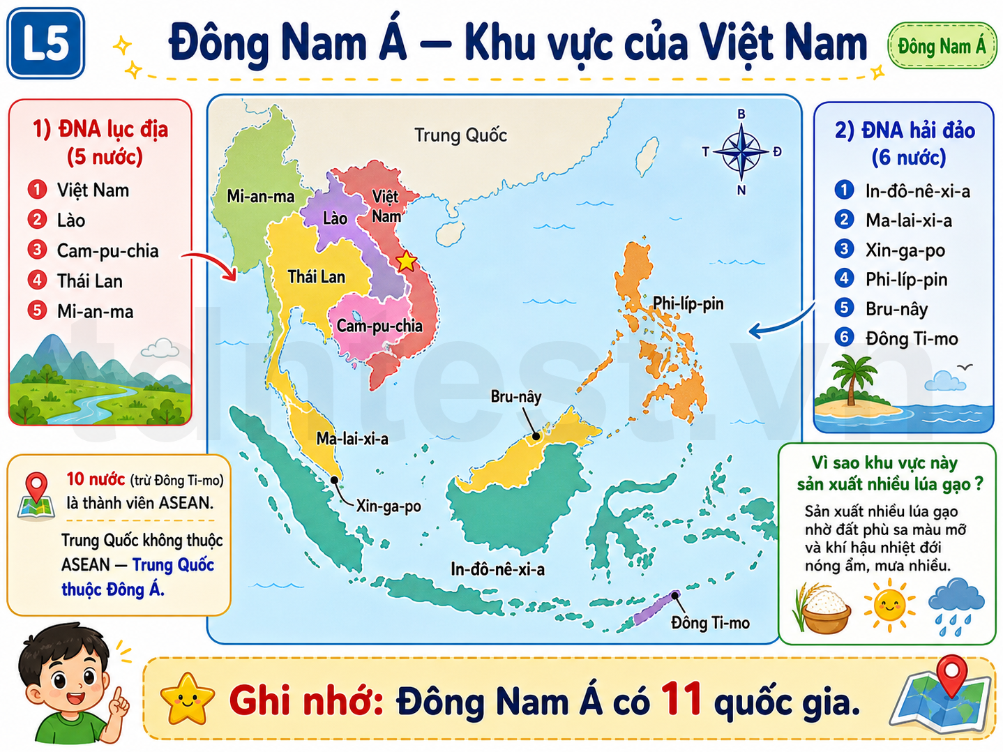 Đông Nam Á — Khu vực của Việt Nam