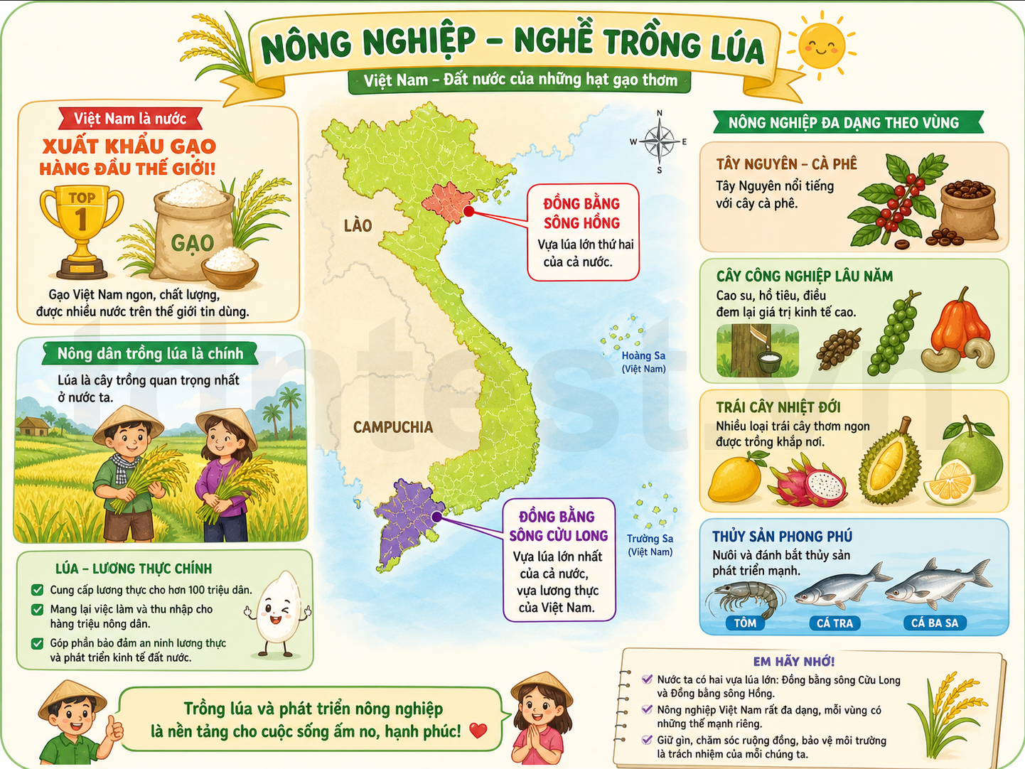 Nông nghiệp — Nghề trồng lúa