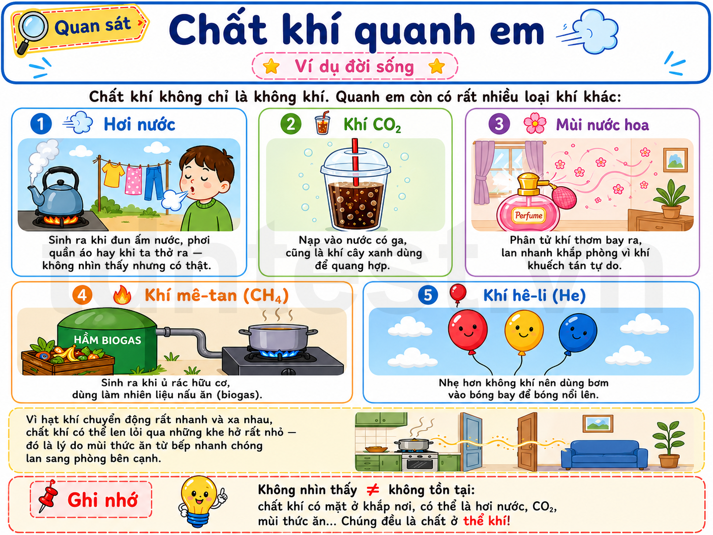 Hình ảnh minh họa chất khí quanh em