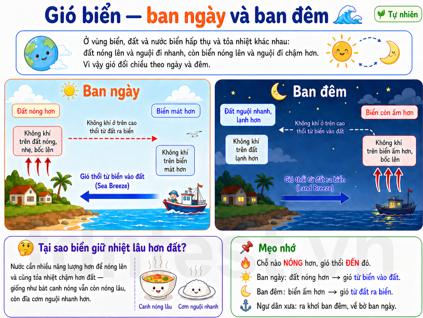 Hình ảnh minh họa gió biển