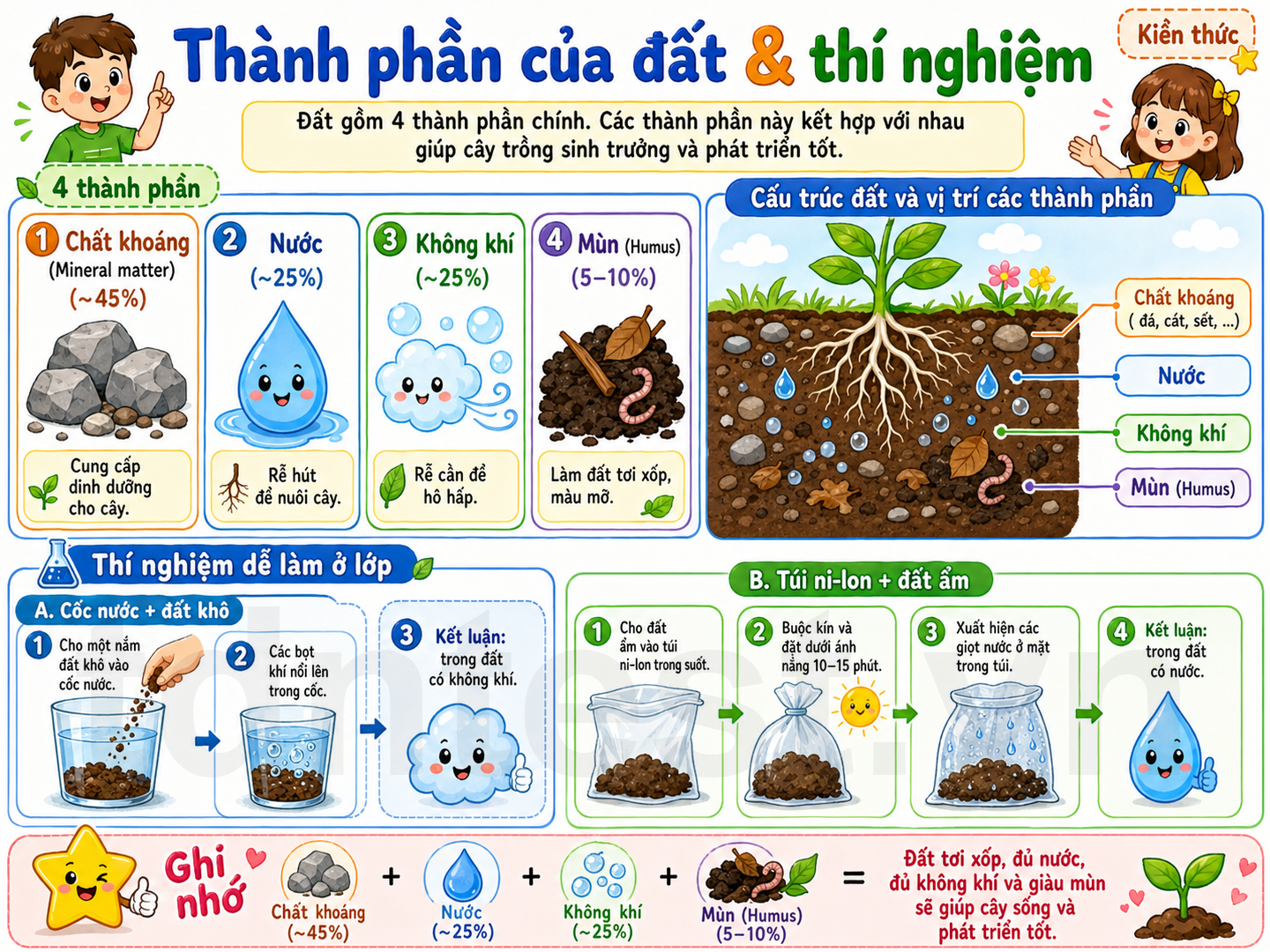 Thành phần của đất