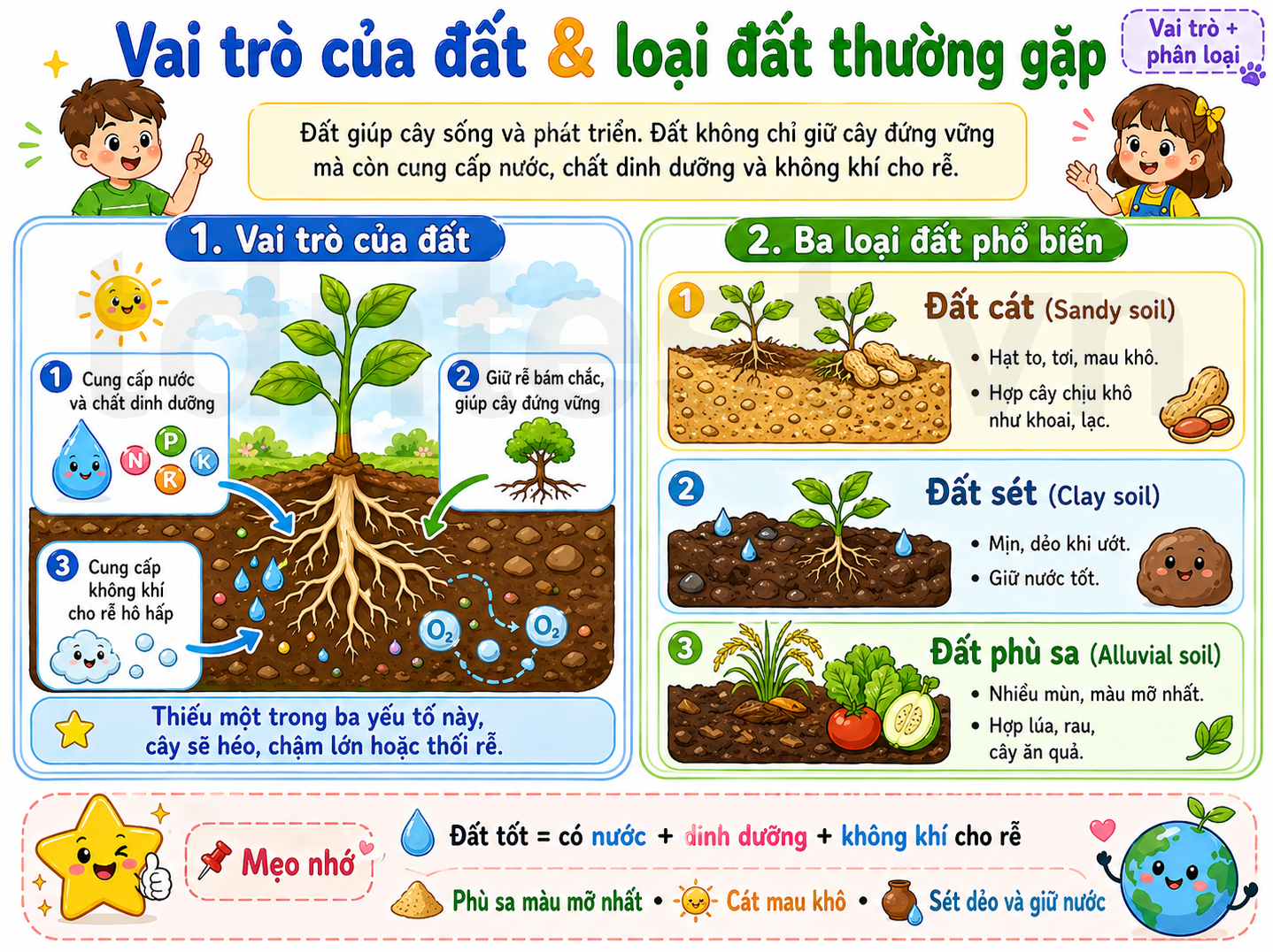 Vai trò của đất