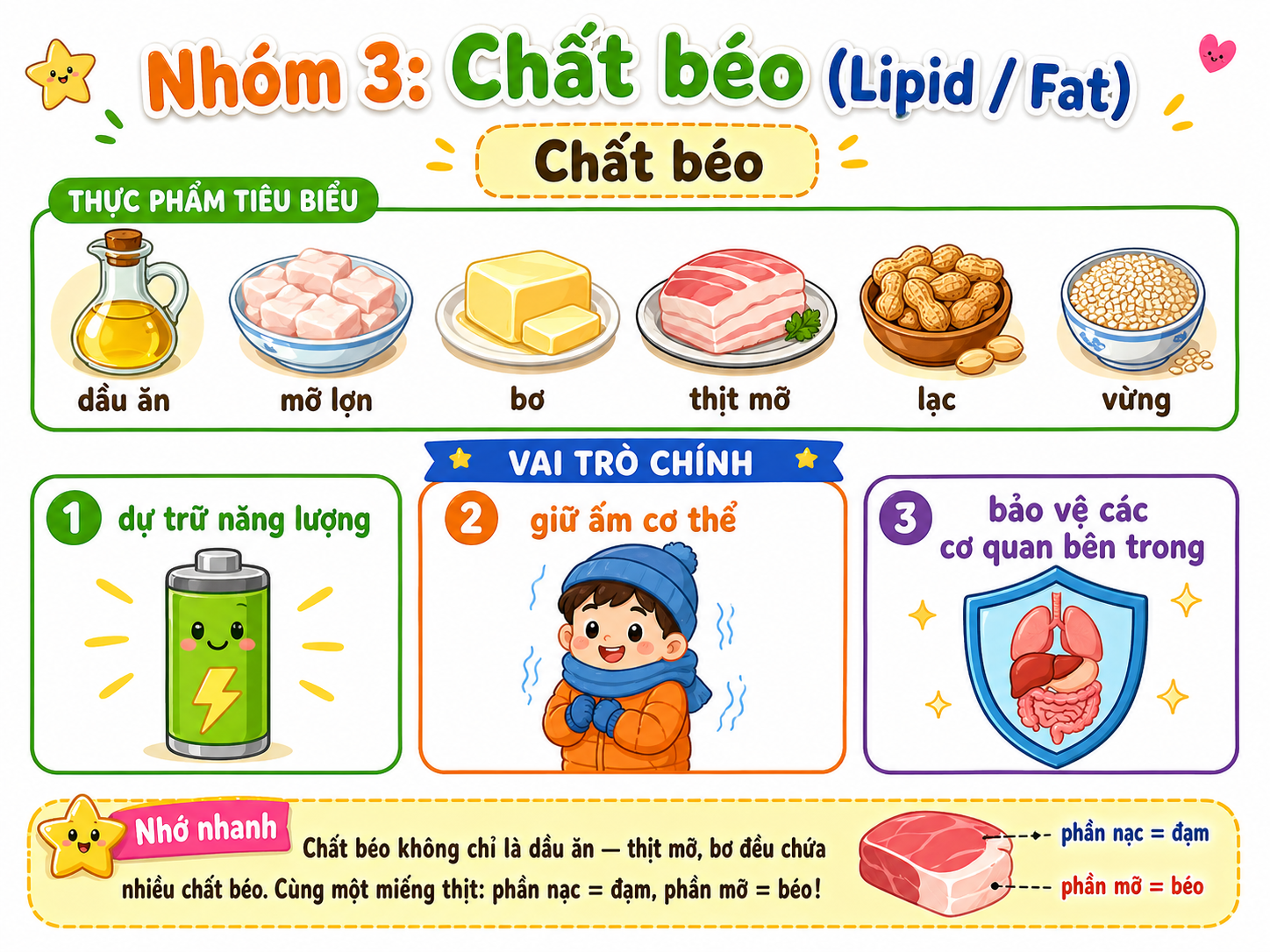 Hình minh họa Nhóm 3: Chất béo (Lipid / Fat)