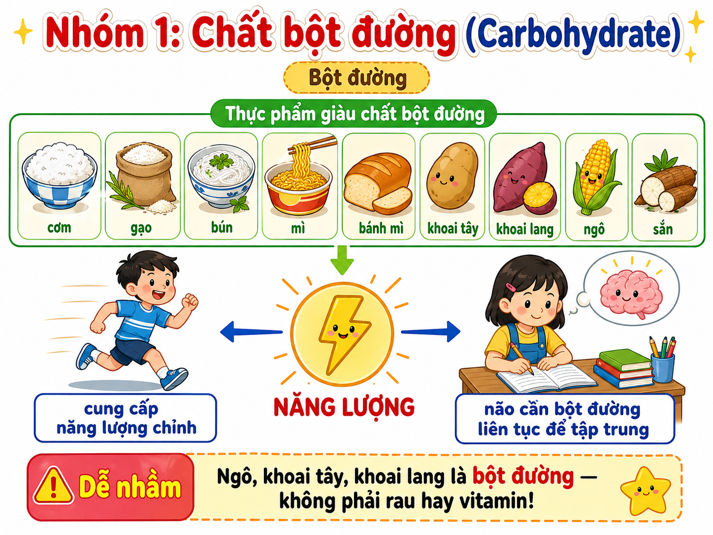 Hình minh họa Nhóm 1: Chất bột đường (Carbohydrate)