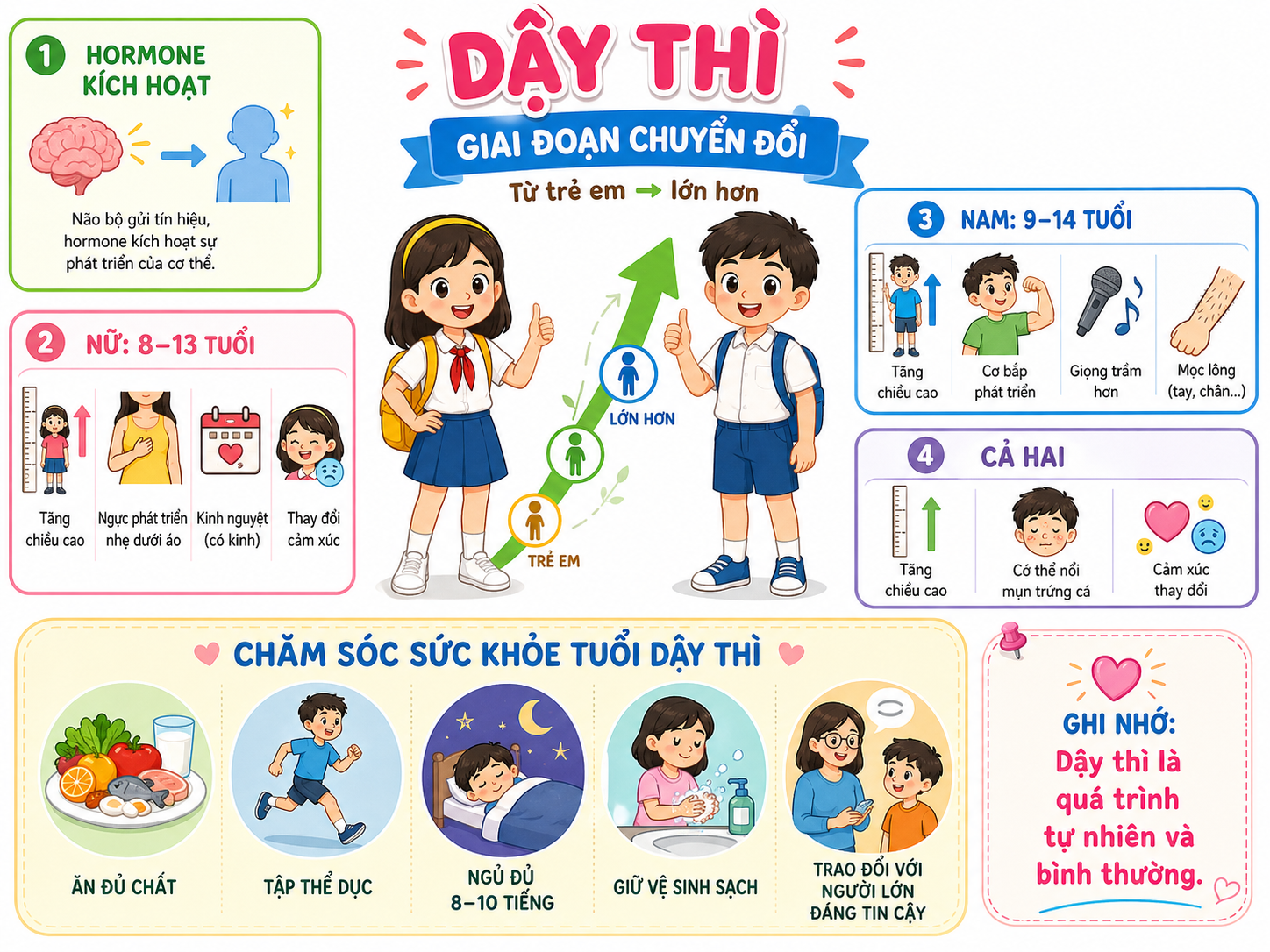 Hình minh họa Dậy thì — Giai đoạn chuyển đổi