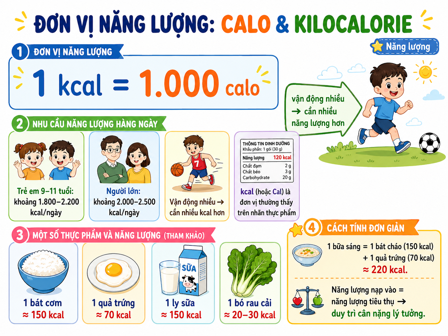 Hình minh họa Đơn vị năng lượng: Calo & Kilocalorie