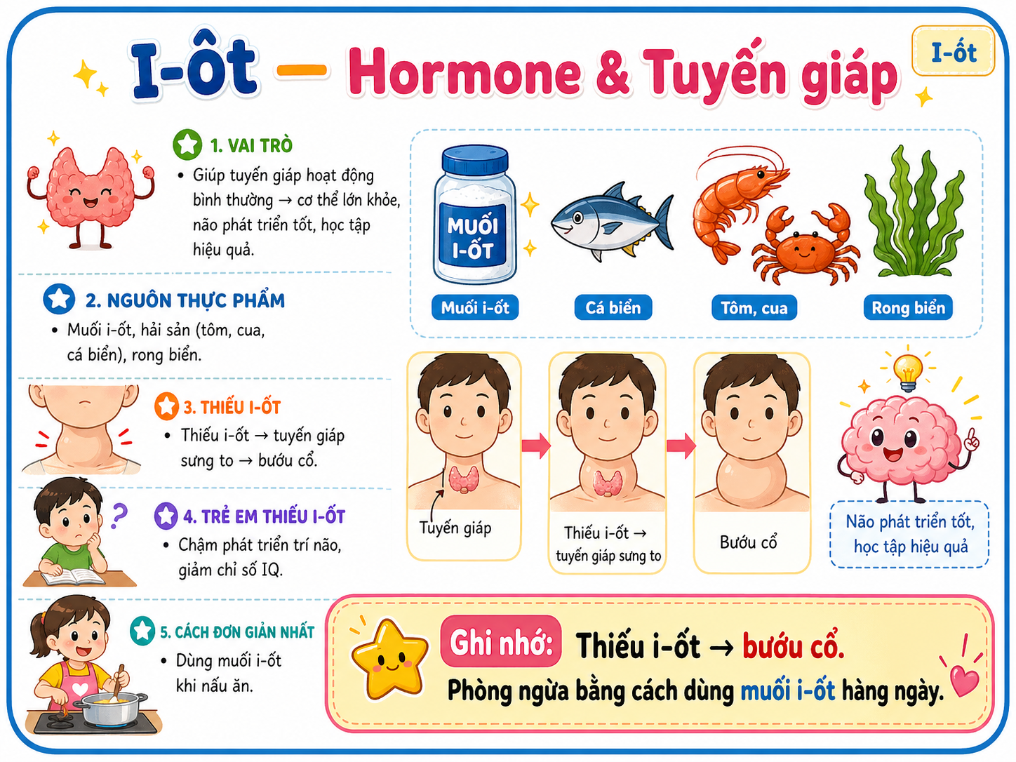 Hình minh họa I-ốt — Hormone & Tuyến giáp