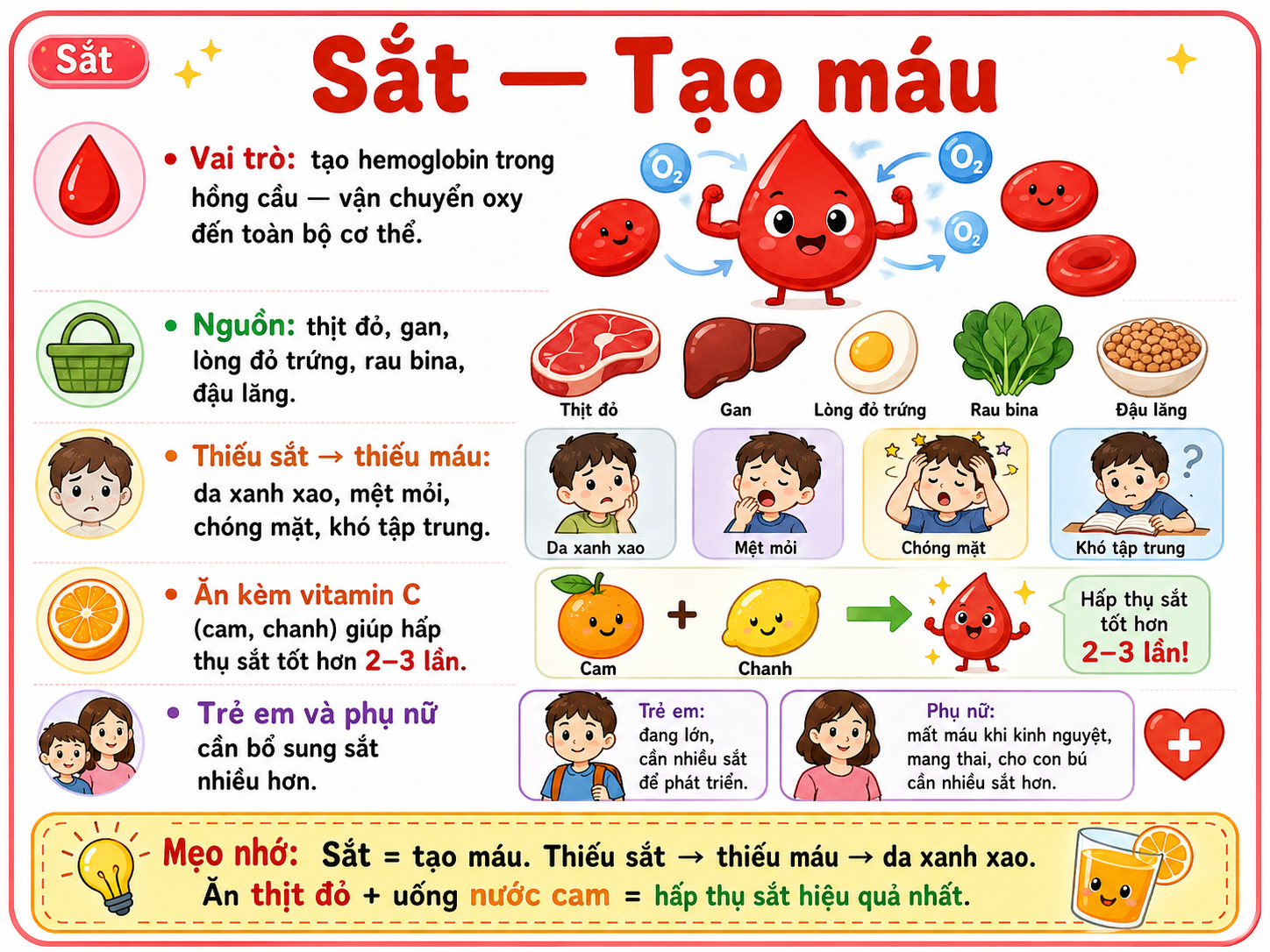 Hình minh họa Sắt — Tạo máu