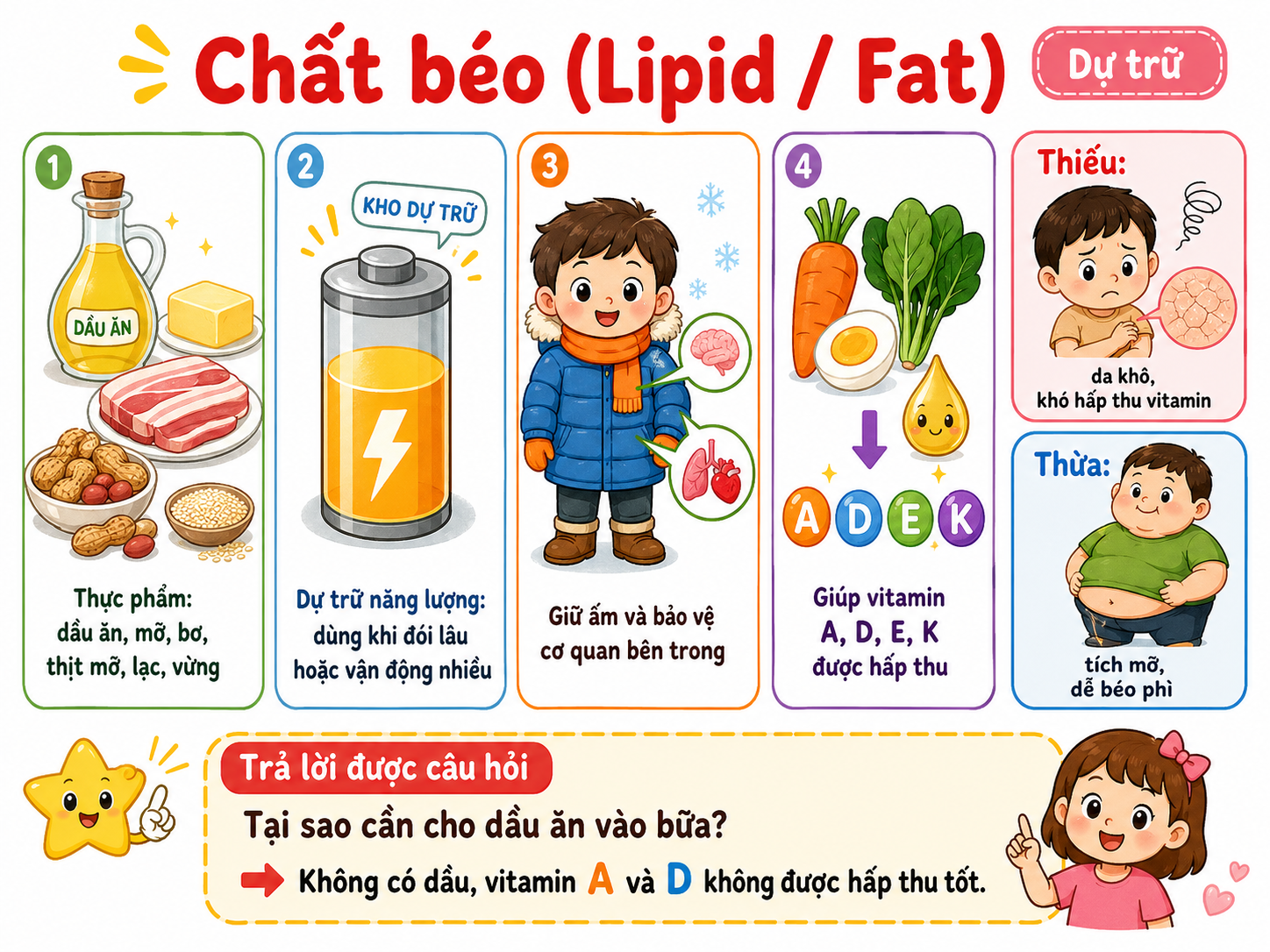 Hình minh họa Chất béo (Lipid / Fat)
