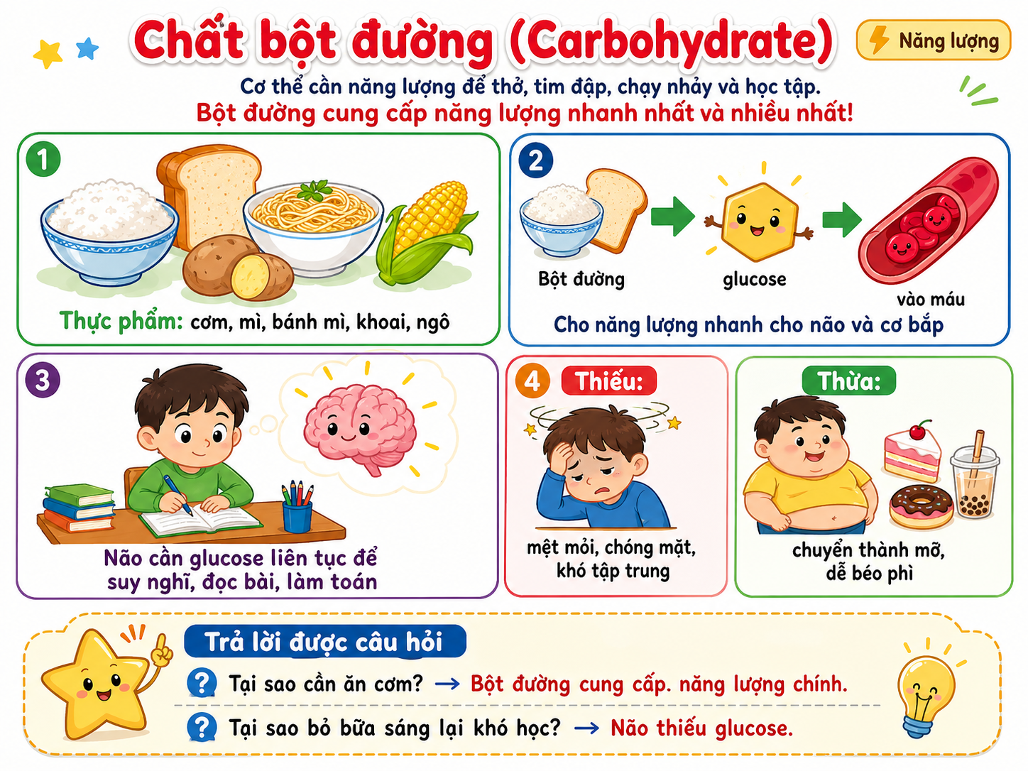 Hình minh họa Chất bột đường (Carbohydrate)
