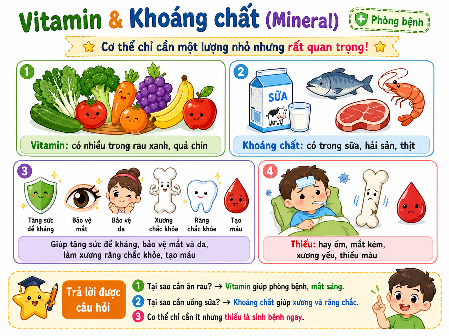 Hình minh họa Vitamin & Khoáng chất (Mineral)