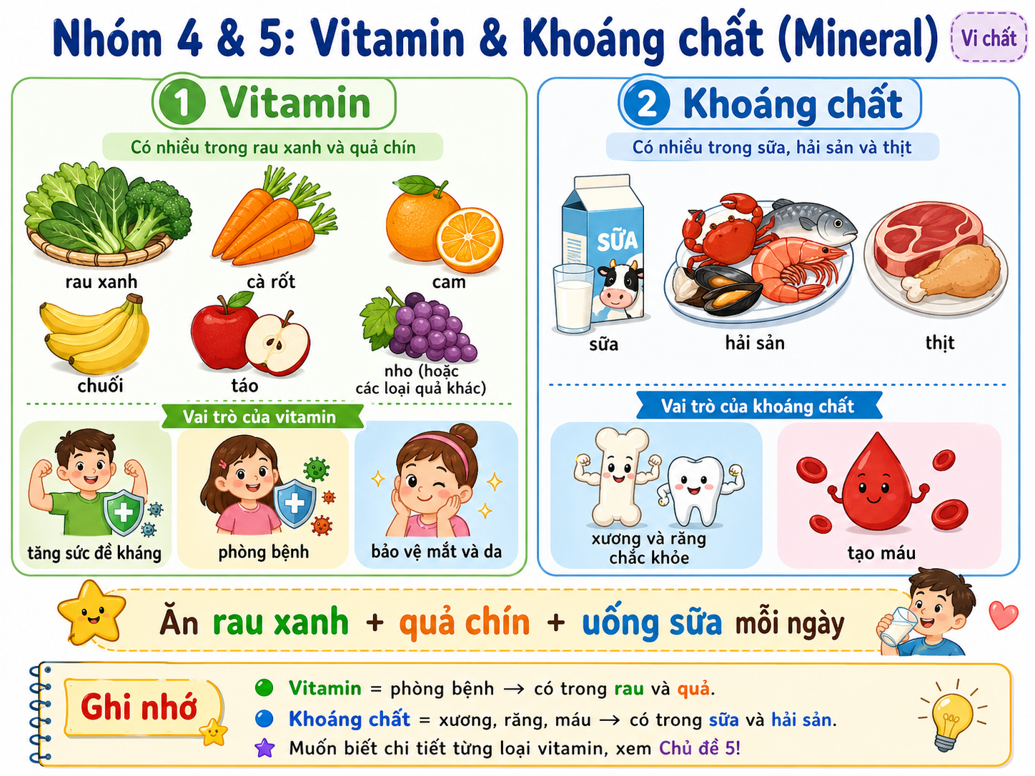 Hình minh họa Nhóm 4 & 5: Vitamin & Khoáng chất (Mineral)