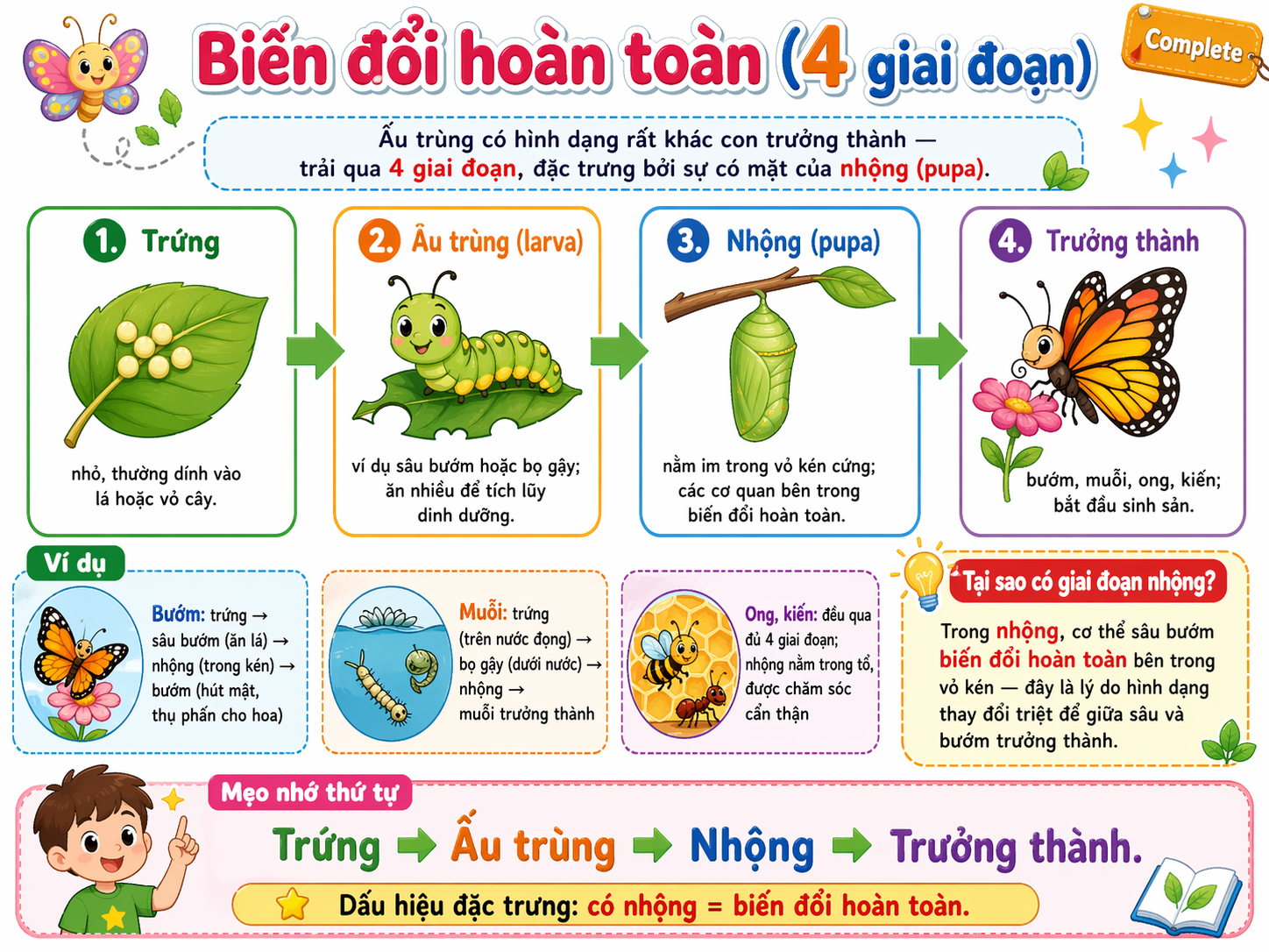 Biến đổi hoàn toàn
