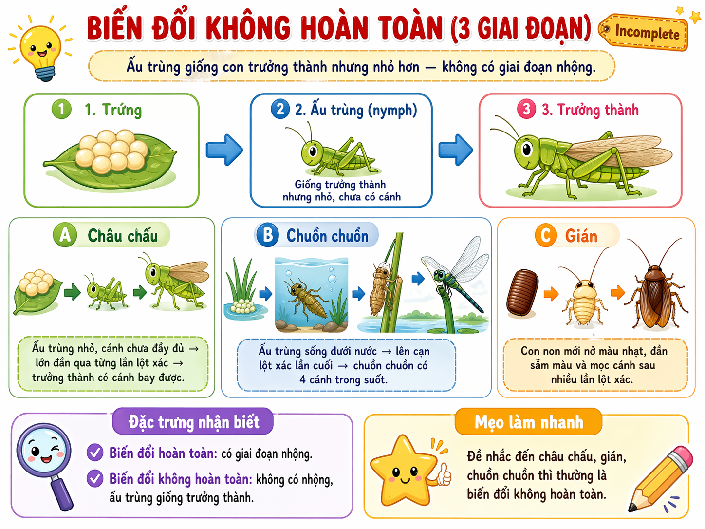 Biến đổi không hoàn toàn