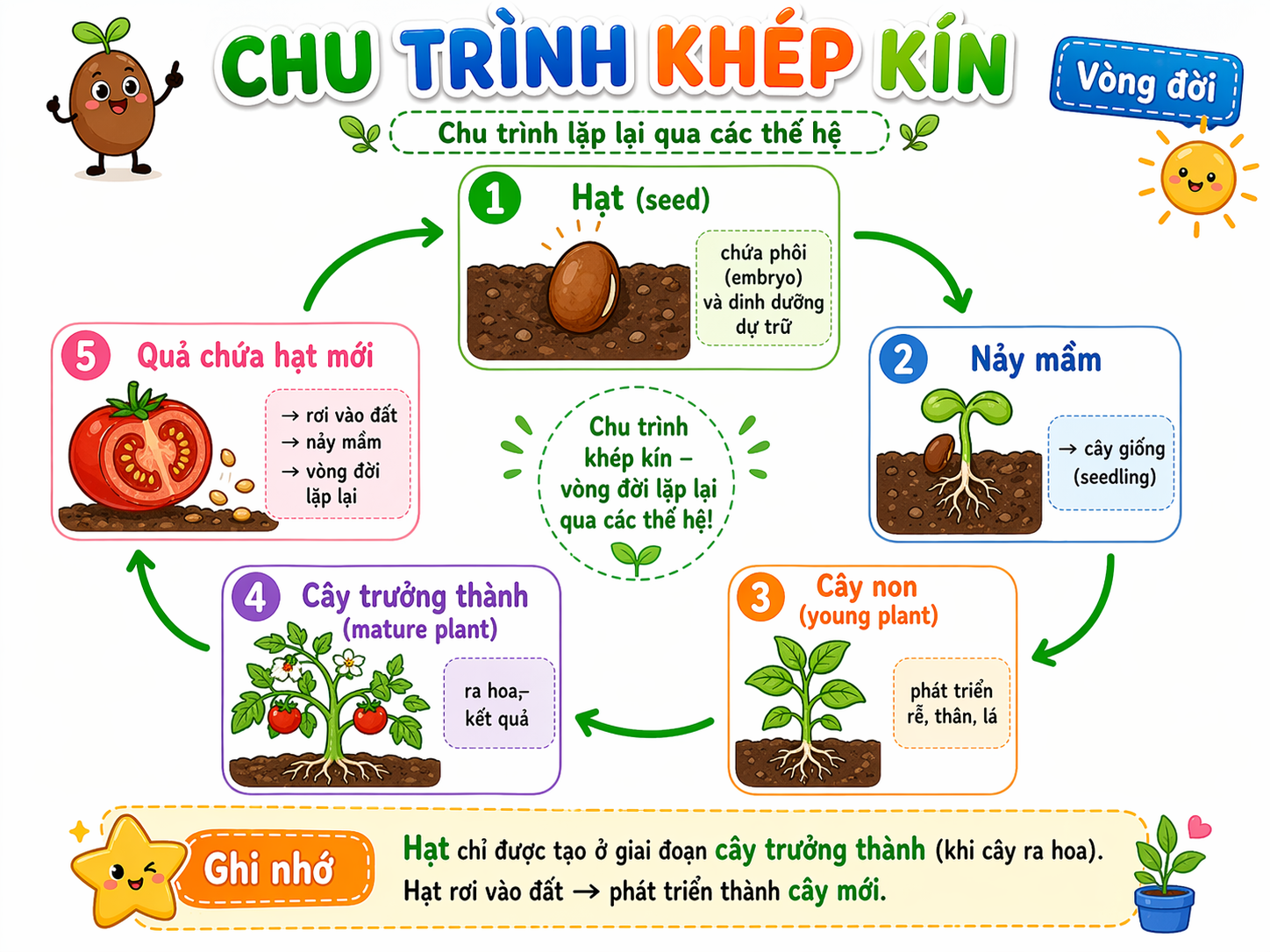 Chu trình khép kín