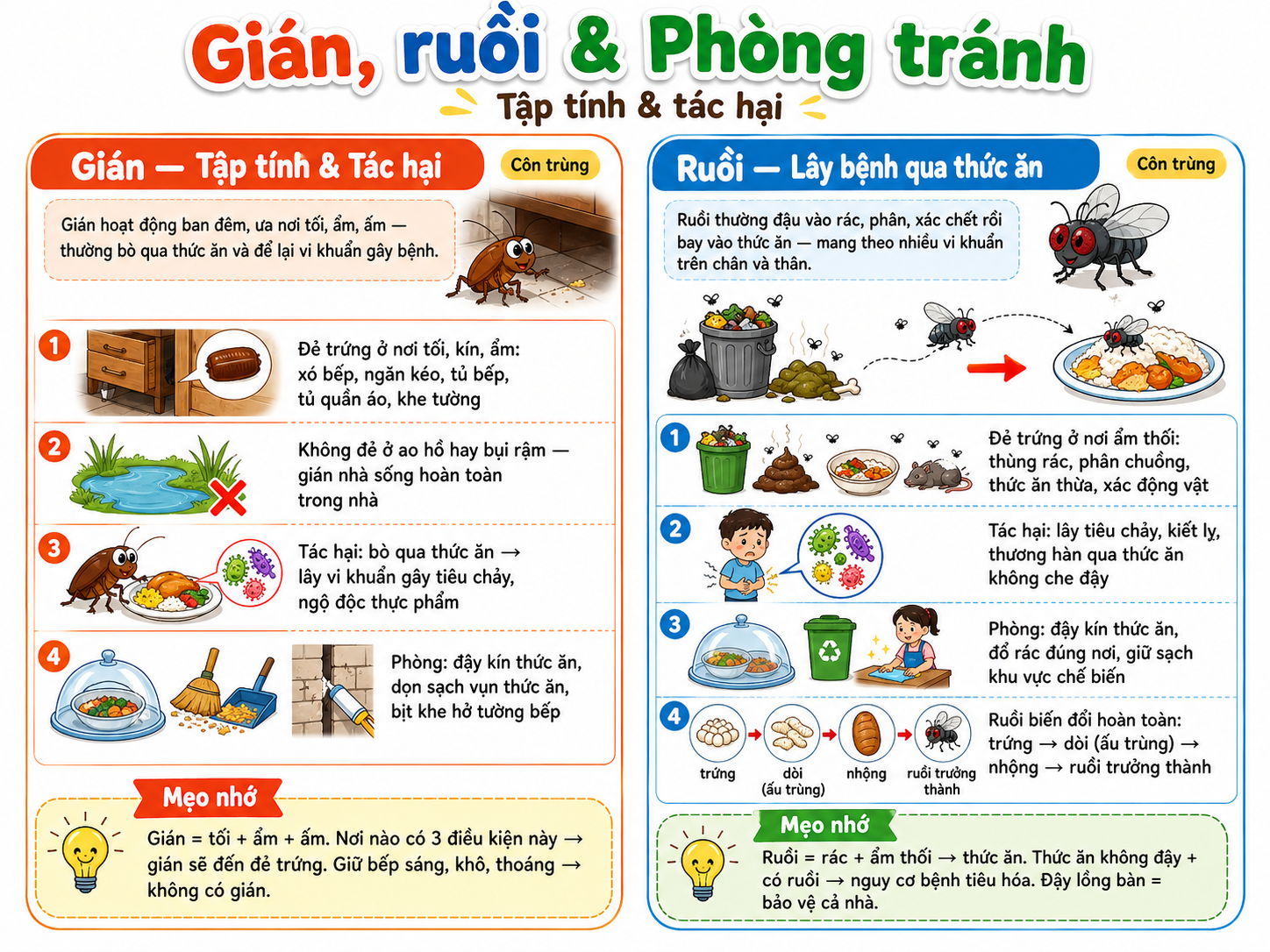 Gián, ruồi & phòng tránh
