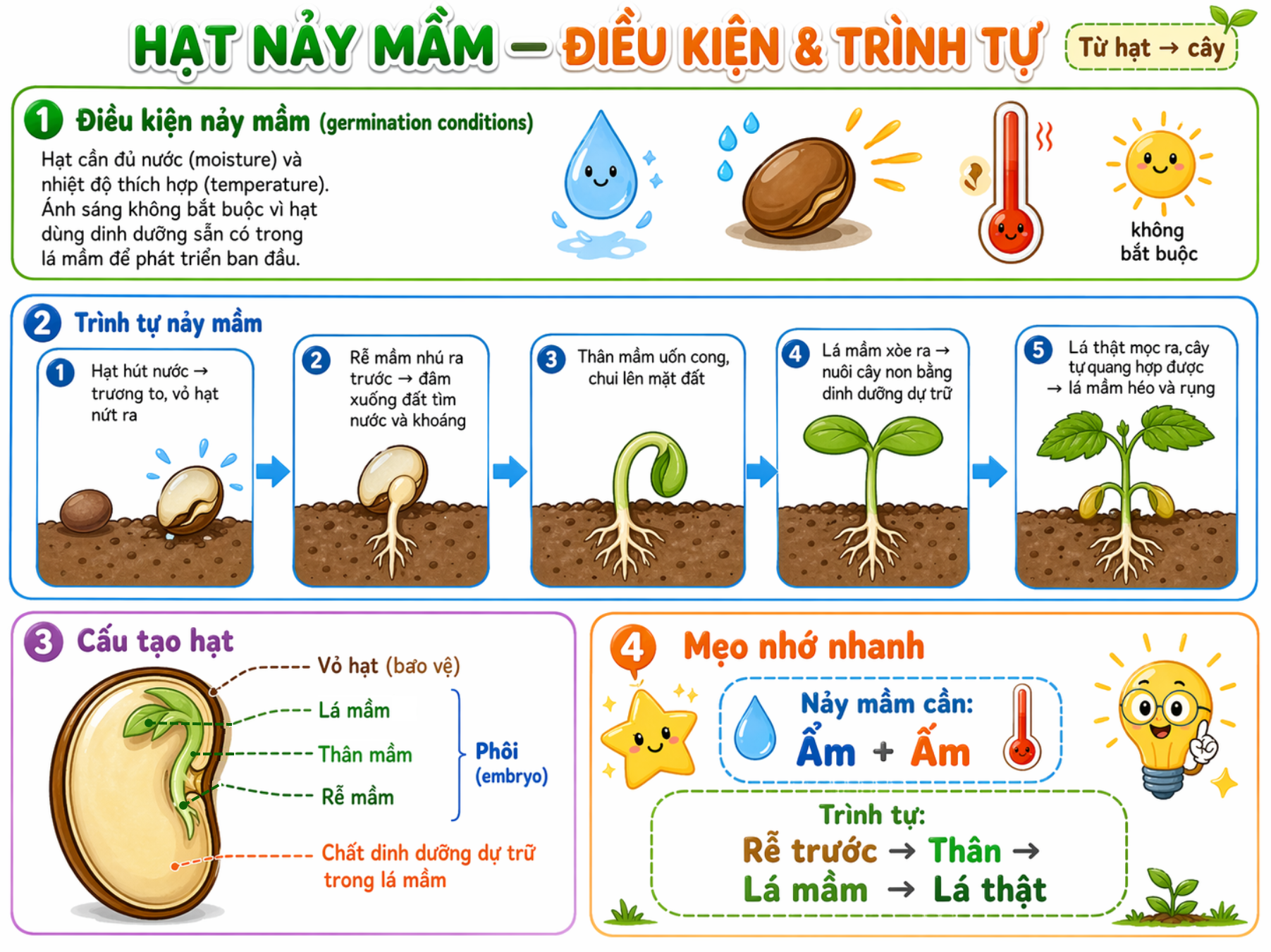 Nảy mầm