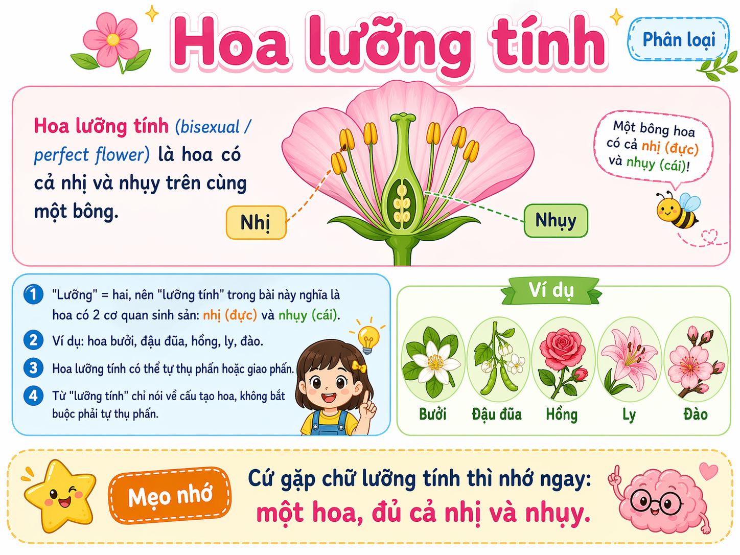 Hoa lưỡng tính
