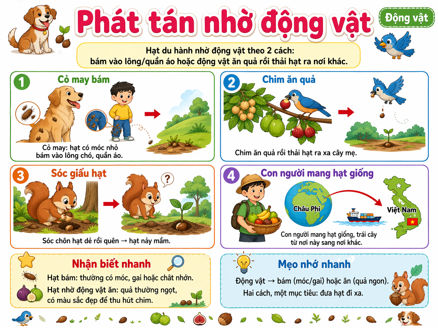 Phát tán nhờ động vật
