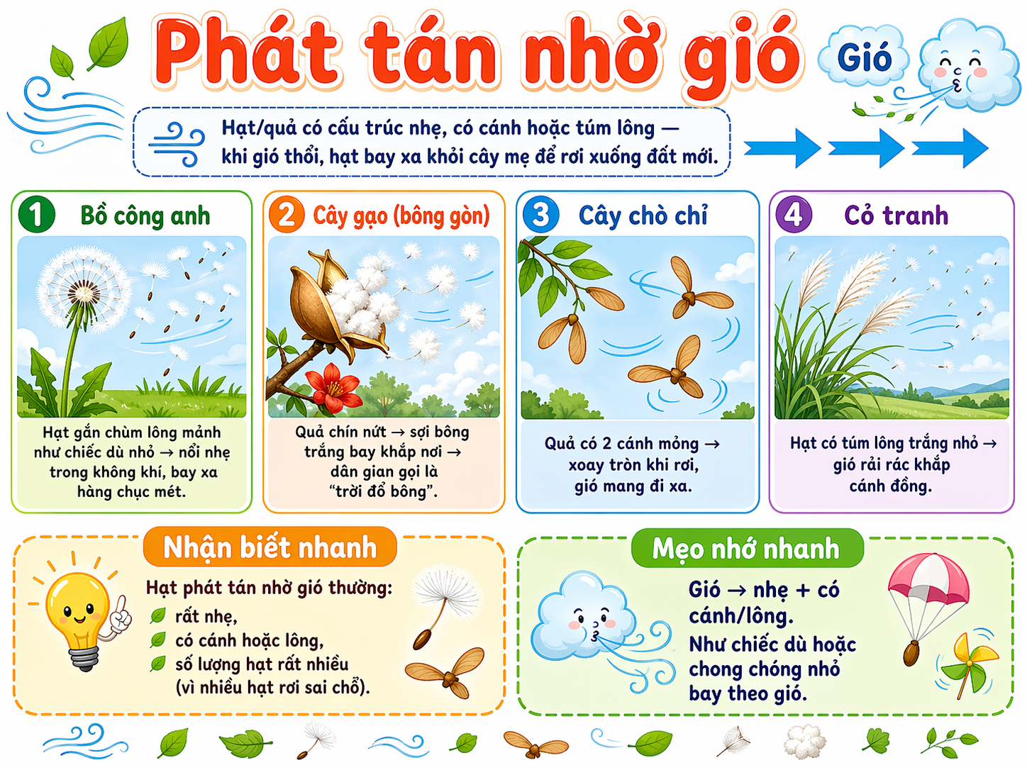Phát tán nhờ gió