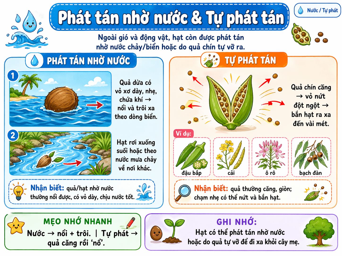 Phát tán nhờ nước