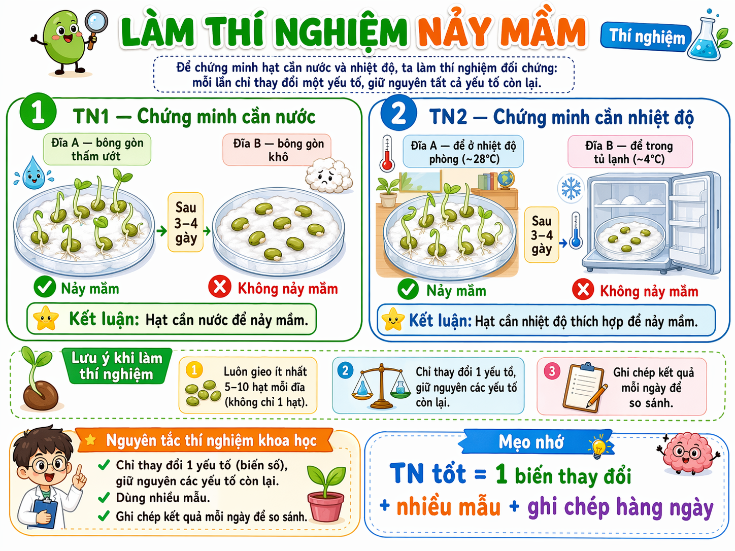 Quang hợp
