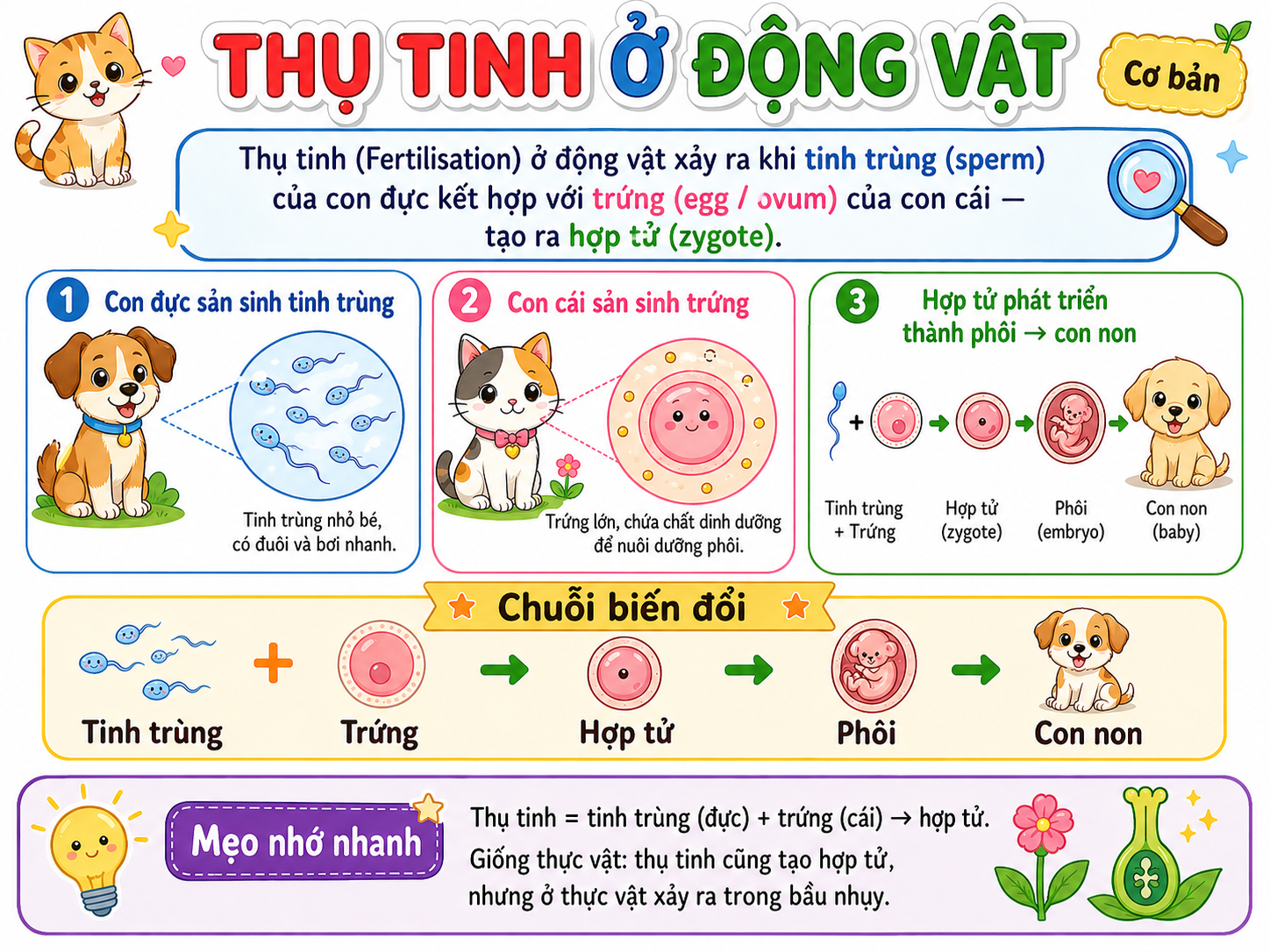 Thụ tinh ở động vật