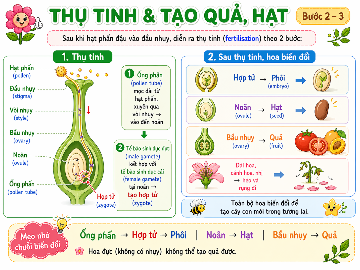 Thụ tinh