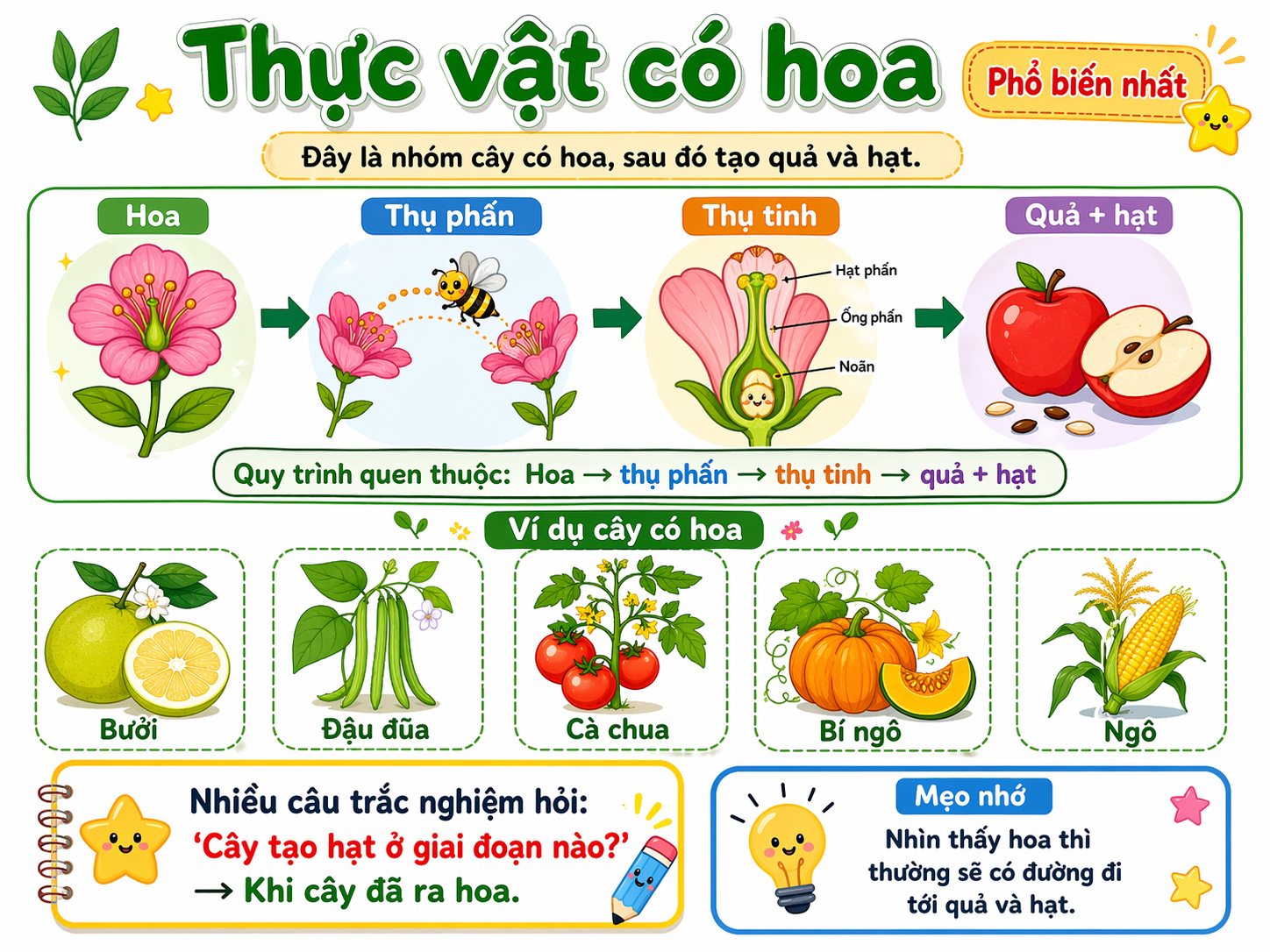 Thực vật có hoa