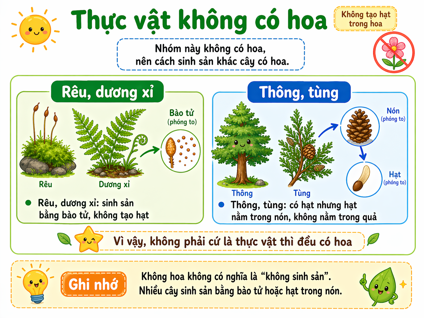 Thực vật không có hoa