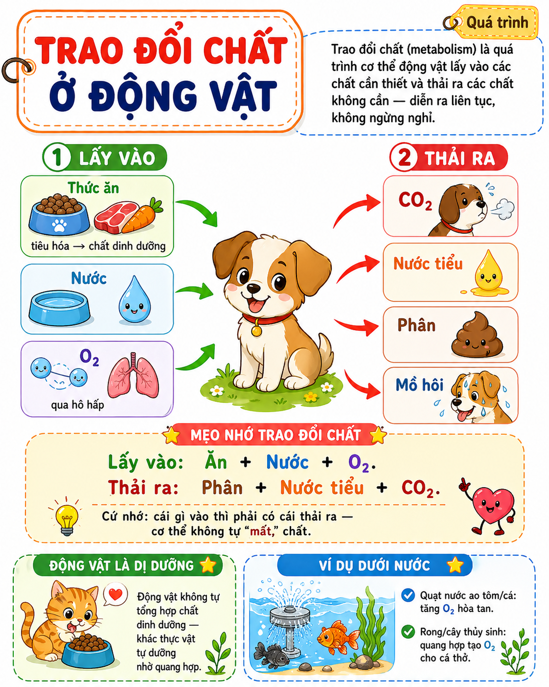 Trao đổi chất ở động vật