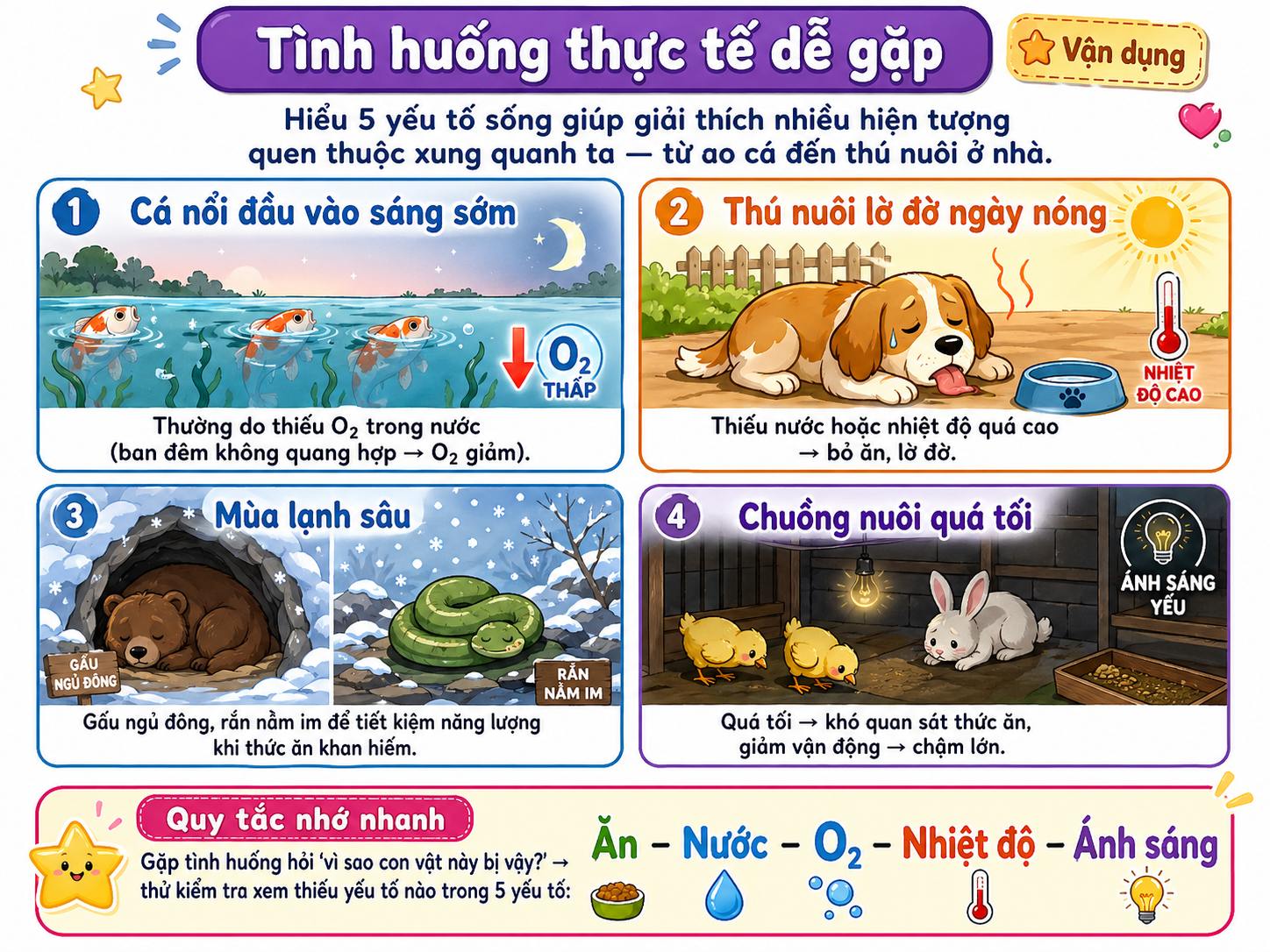 Trường hợp thiếu yếu tố sống