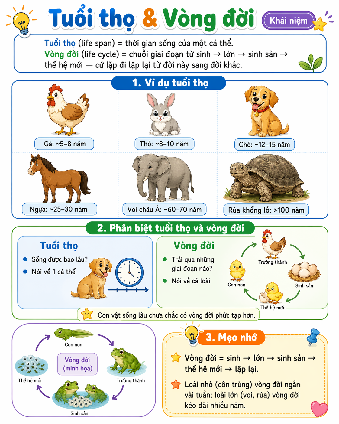 Tuổi thọ & Vòng đời
