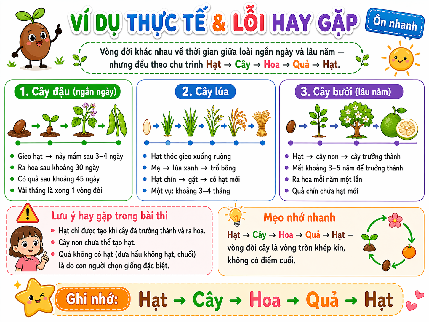 Vòng đời ngắn dài