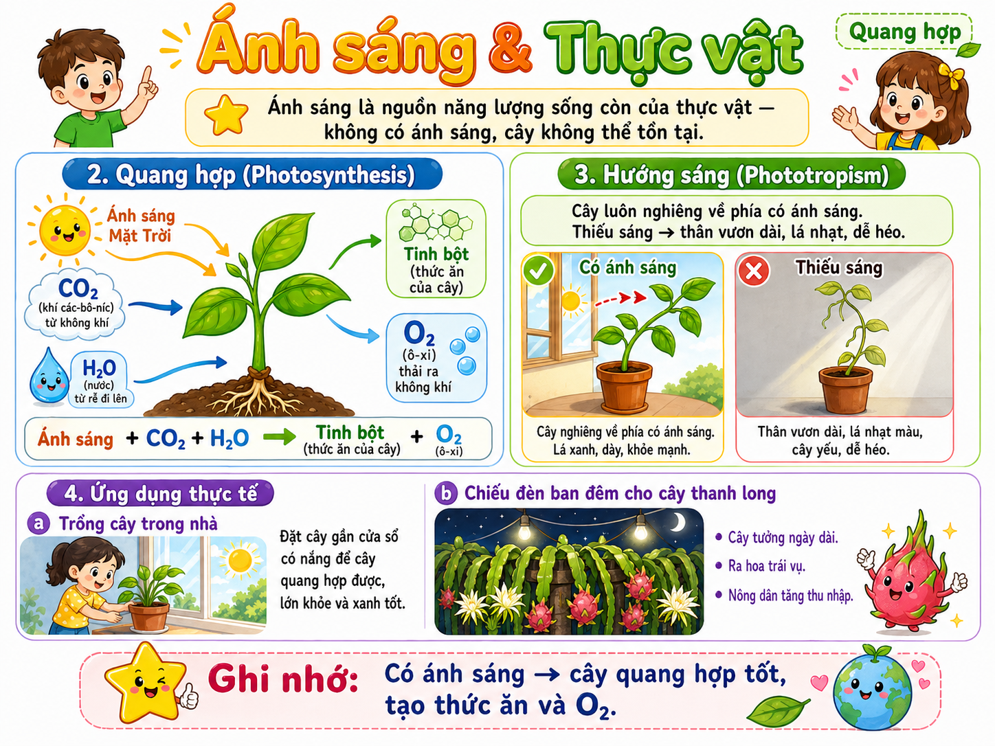 Hình ảnh minh họa nguồn sáng và thực vật