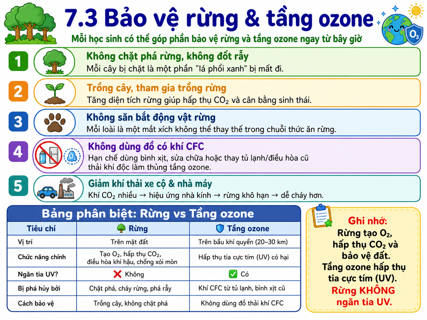 Hình ảnh minh họa bảo vệ rừng