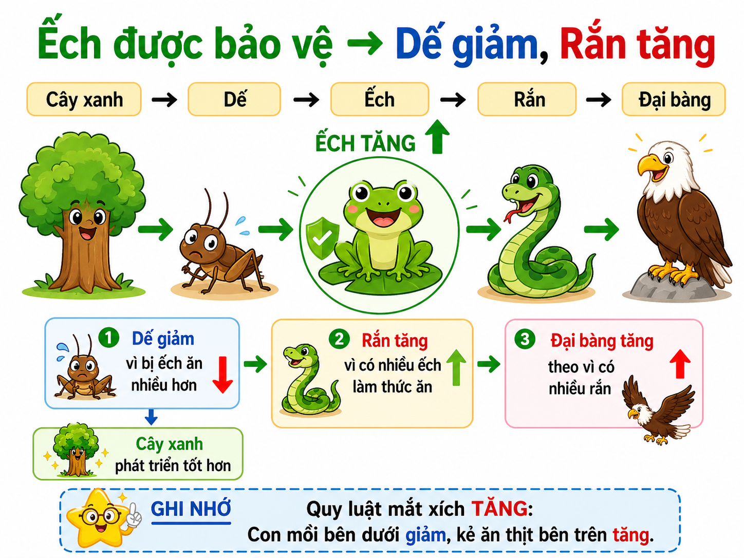 Hình ảnh minh họa ếch tăng