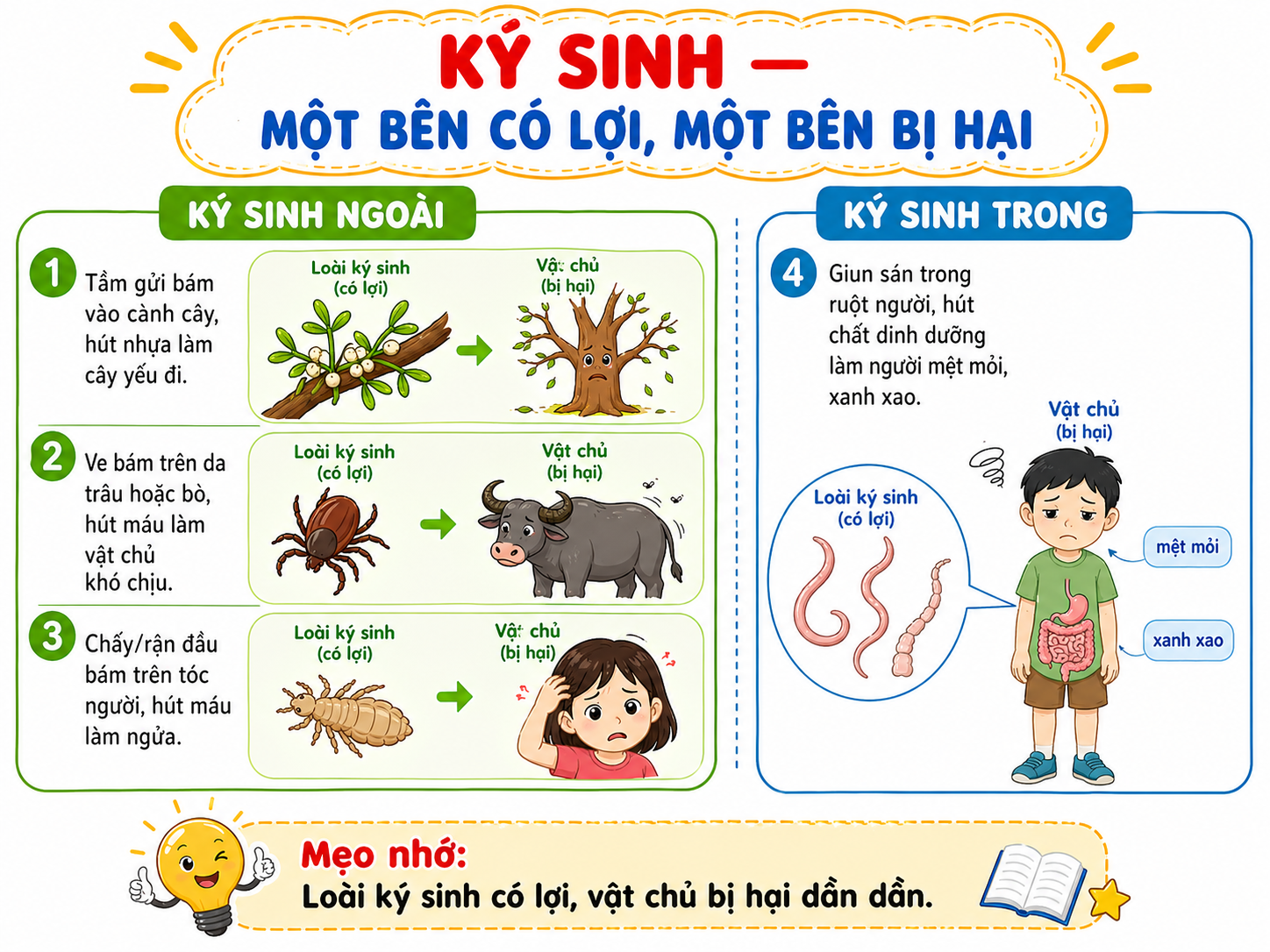 Hình ảnh minh họa ký sinh