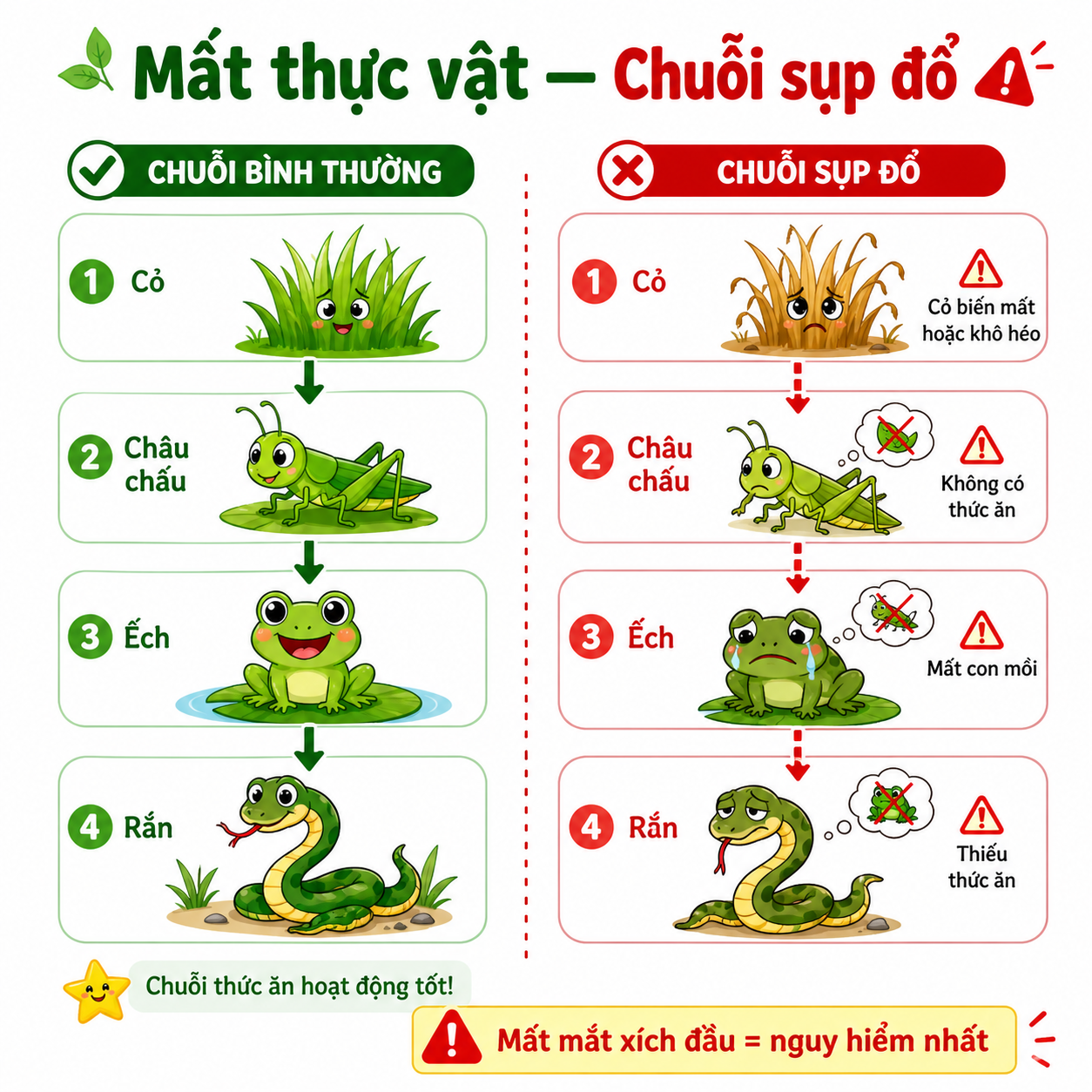 Hình ảnh minh họa mất thực vật
