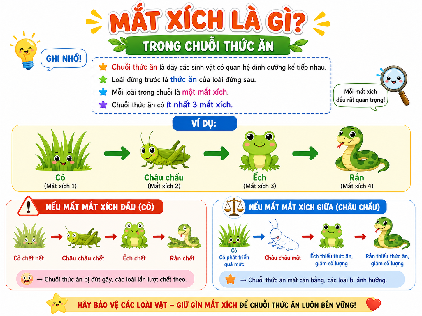 Hình ảnh minh họa mắt xích trong chuỗi thức ăn