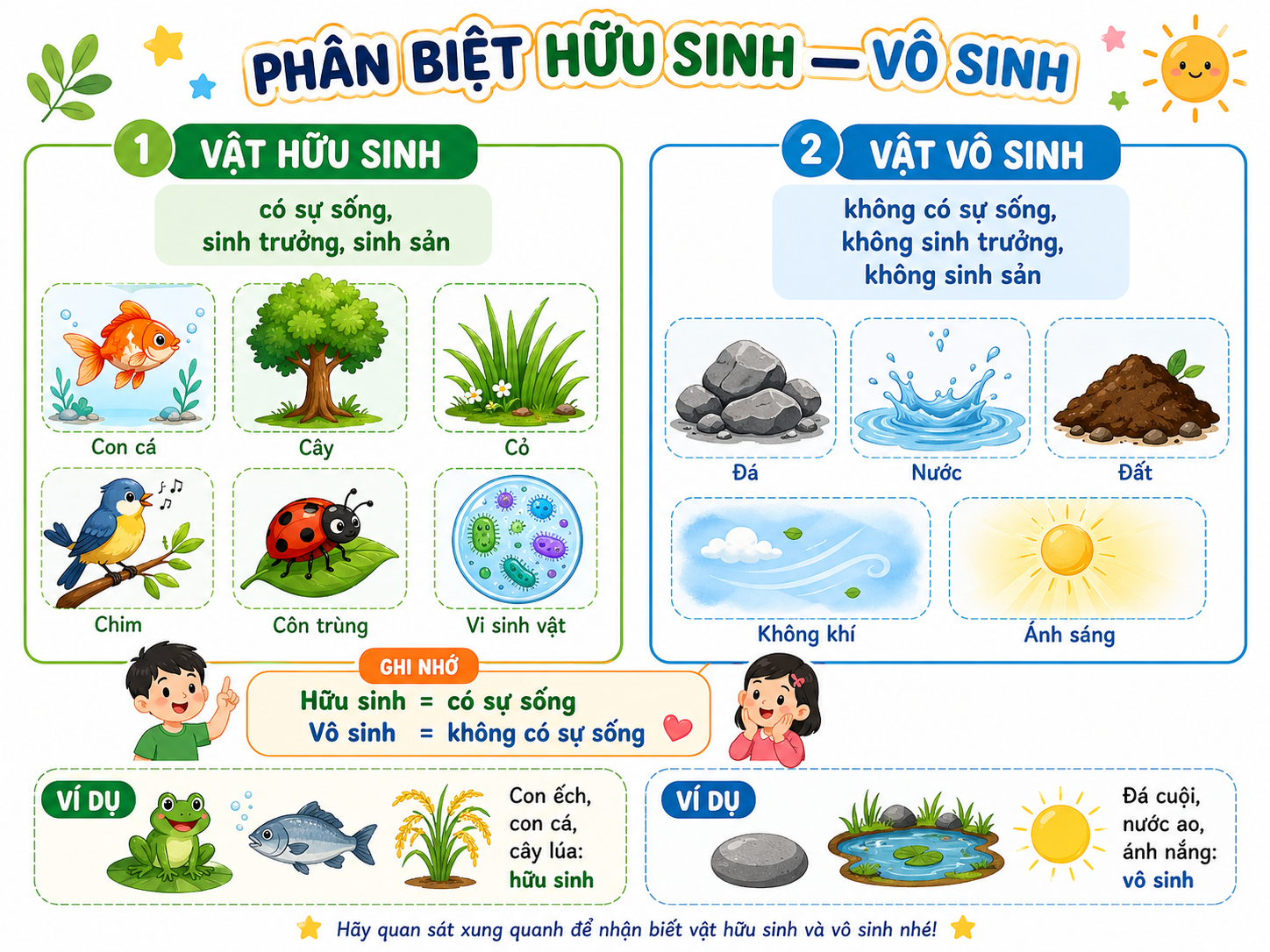 Hình ảnh minh họa vật hữu sinh và vật vô sinh