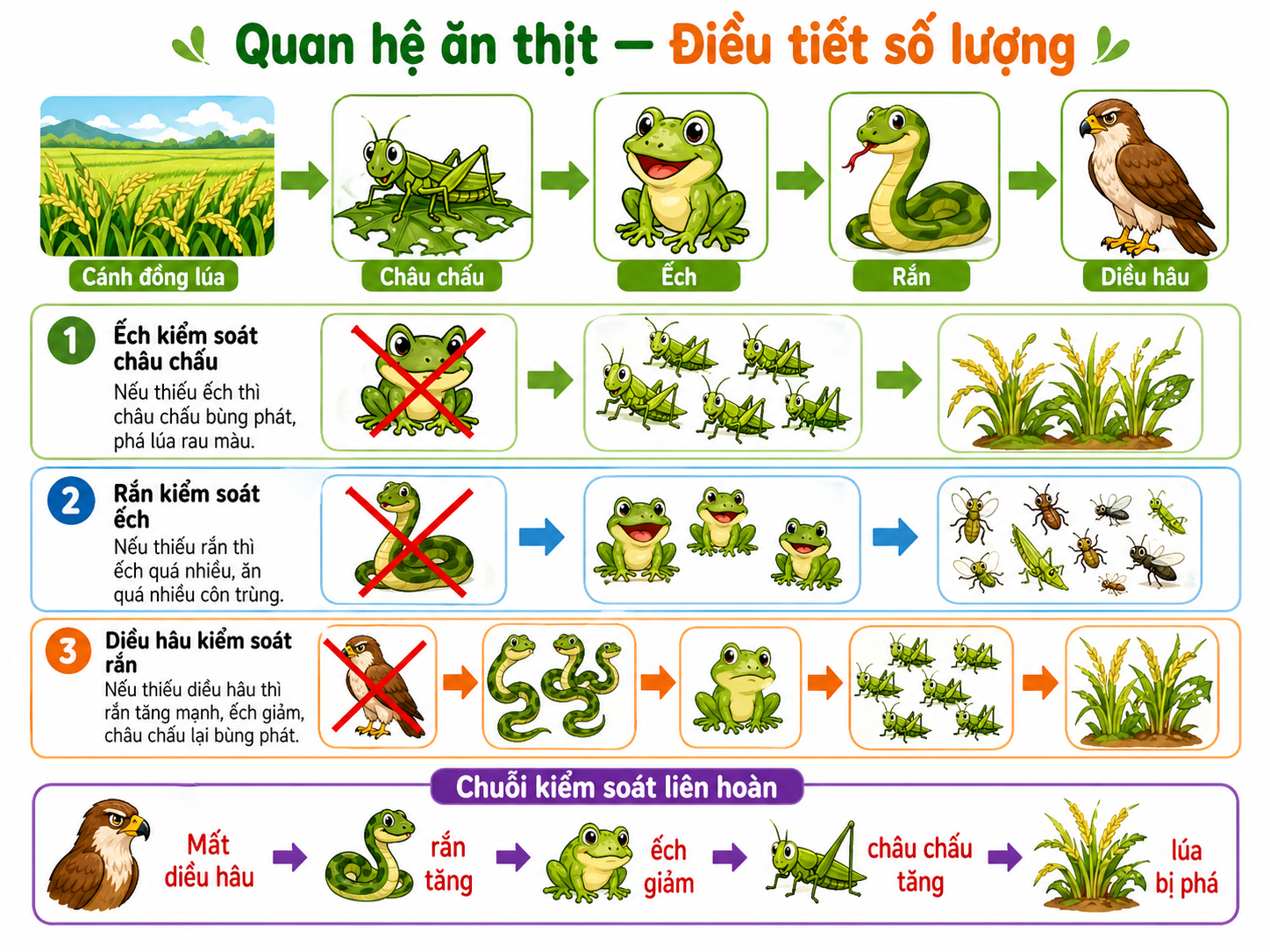 Hình ảnh minh họa quan hệ ăn thịt