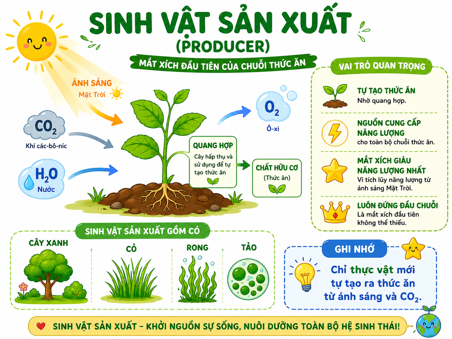 Hình ảnh minh họa sinh vật sản xuất