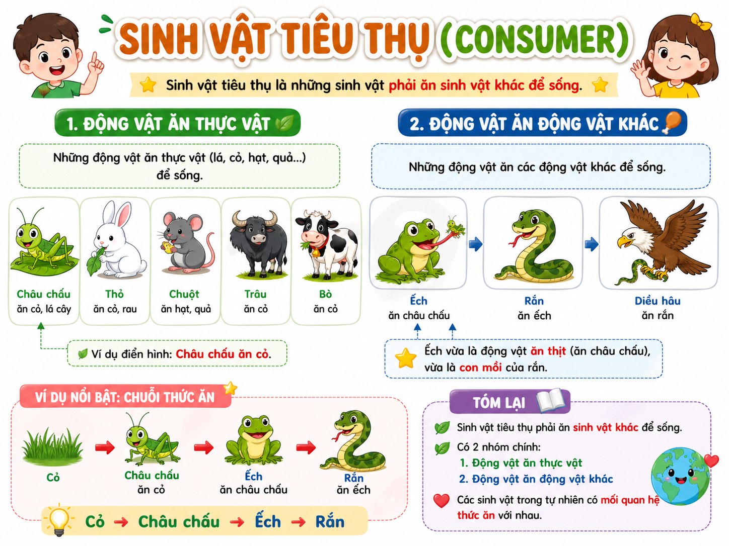 Hình ảnh minh họa sinh vật tiêu thụ