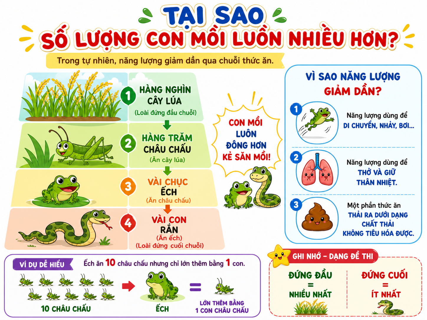 Hình ảnh minh họa tại sao số lượng con mồi luôn nhiều hơn