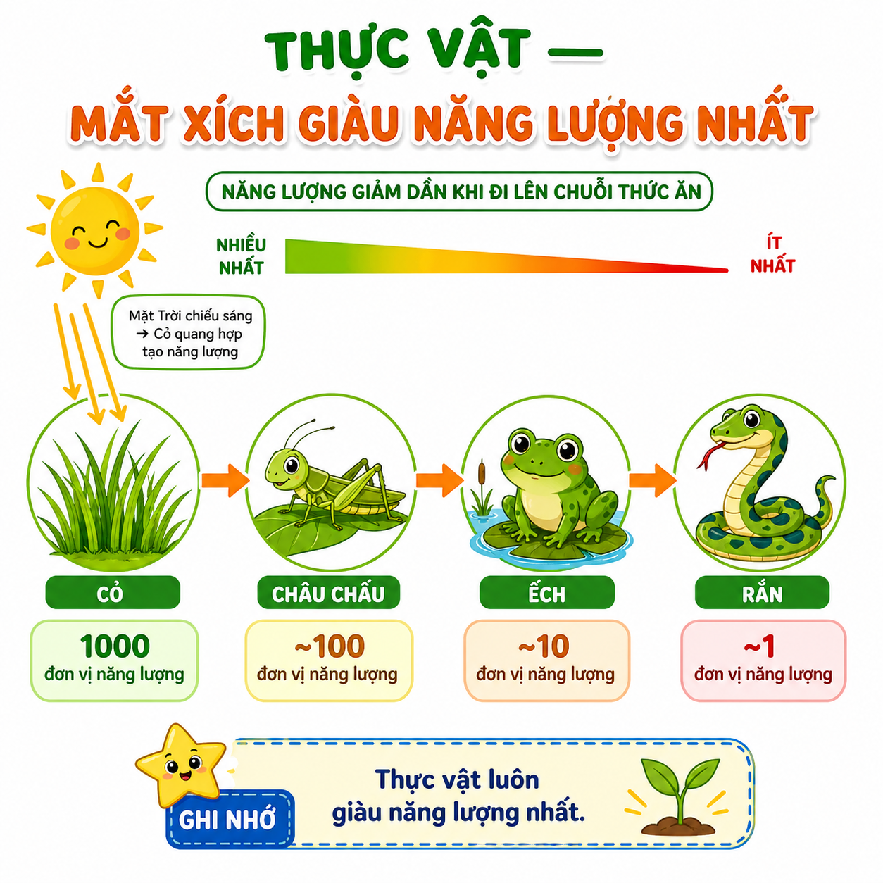 Hình ảnh minh họa thực vật là mắt xích giàu năng lượng nhất