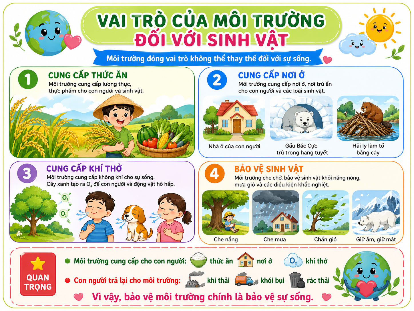 Hình ảnh minh họa vai trò của môi trường