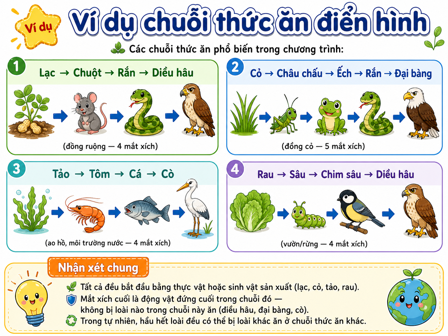 Hình ảnh minh họa ví dụ chuỗi thức ăn điển hình