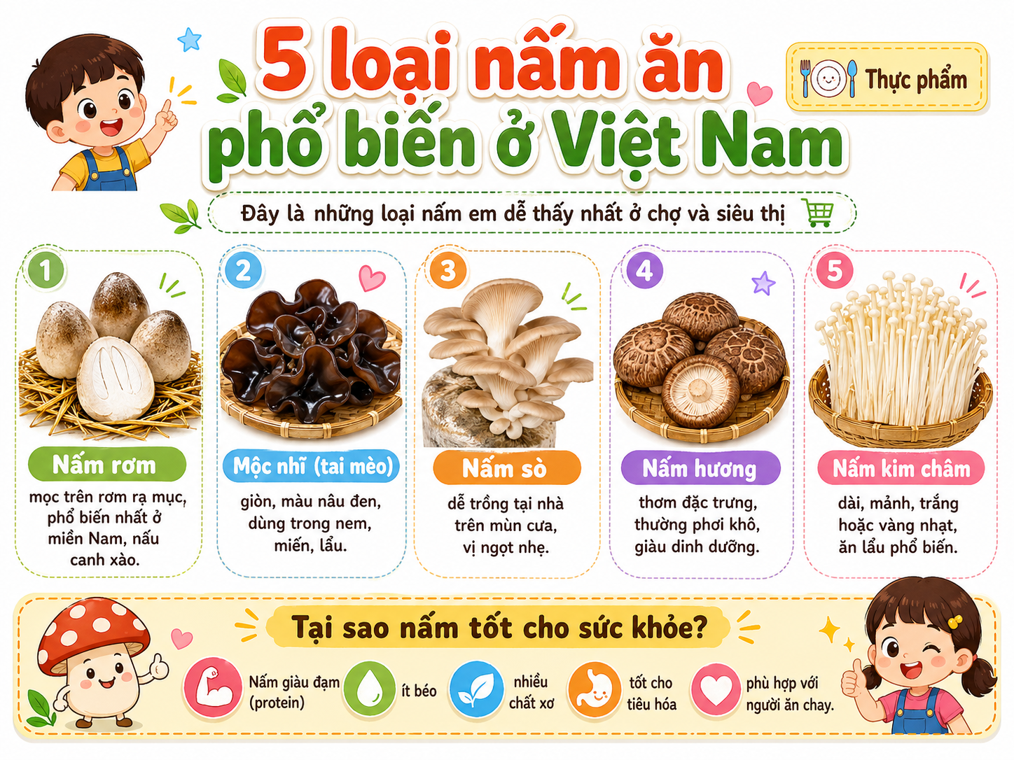 5 loại nấm phổ biến ở Việt Nam