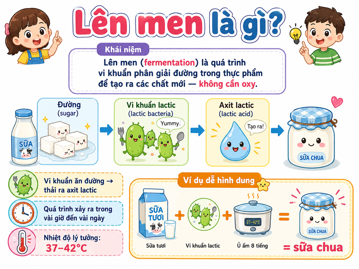 Lên men là gì